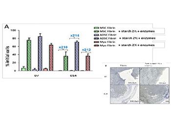 VIVINJECT : NUTRITIVE HYDROGELS ENHANCING STEM CELL SURVIVAL FOR TISSUE RECONSTRUCTION