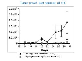 Follow-up of tumour growth after adjuvant treatment in a mouse model of colorectal cancer