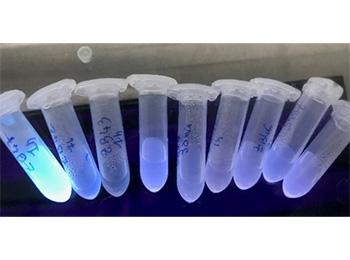 Exemple de Quantum dots eco friendly