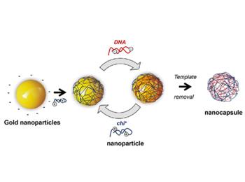 NEW NANOPARTICLES WITH TARGETED EXPRESSION VECTOR AS A THERAPEUTIC APPROACH FOR IDIOPATHIC NEPHROTIC SYNDROME