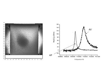PARTICLES MICRO-ANALYSER
